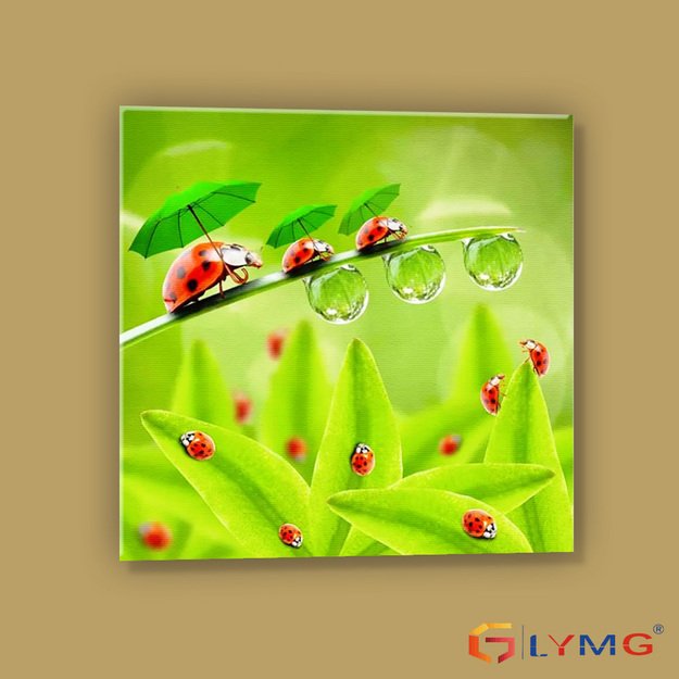 5D diamond painting set 30x30cm (35x35cm) ladybugs, grass