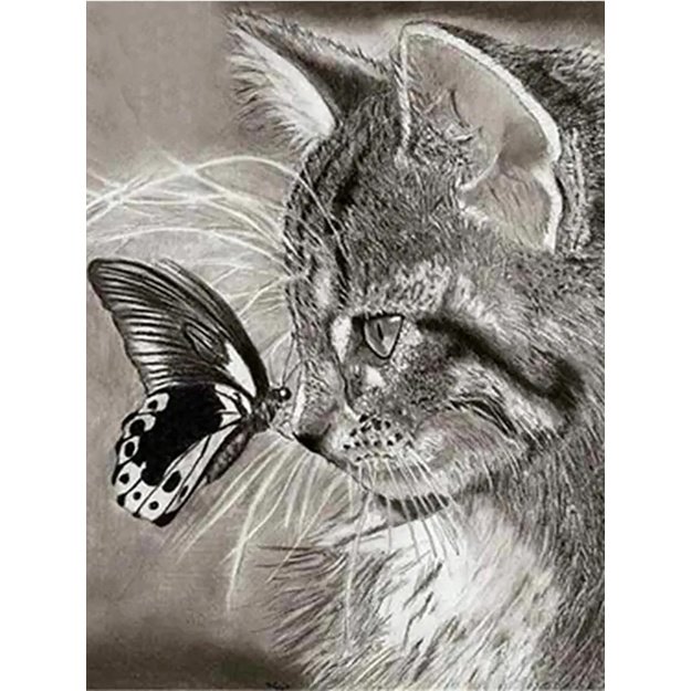 Diamond Painting 5D 30x40cm (35x45cm) Cat and Butterfly Composition
