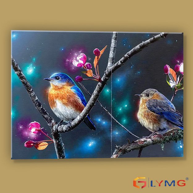 5D diamond painting set 30x40cm (35x45cm