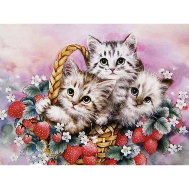 Diamond Painting 5D 40x30cm (45x35cm) Three Kittens in Basket