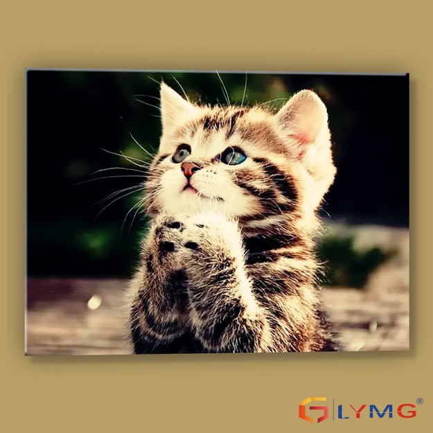 5D diamond painting set 30x40cm (35x45cm) 