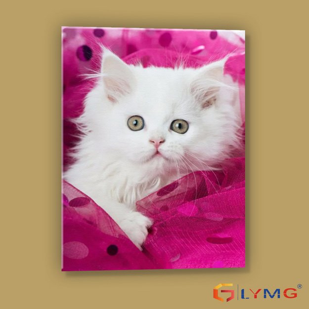 5D diamond painting set 30x45cm (35x50cm) white kitten