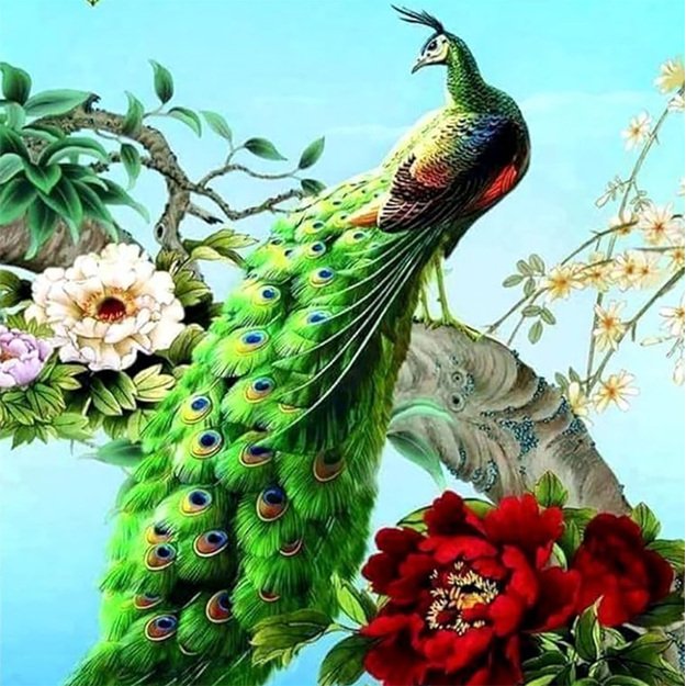 Diamond Painting 5D 30x30cm (35x35cm) Peacock on Branch
