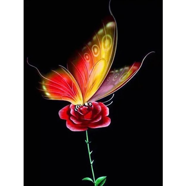 Dimanta mozaīka 5d 30x40cm (35x45cm) tauriņš uz rozes