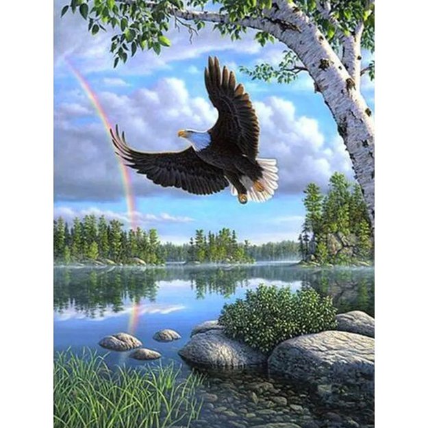 Diamond painting 5D 30x40 cm (35x45 cm) eagle, rainbow