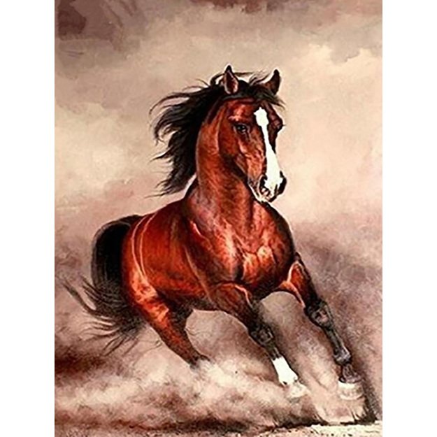Diamond Painting 5D 30x40cm (35x45cm) Running Horse