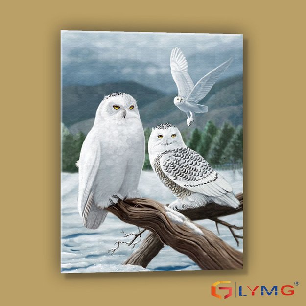 Dimanta mozaīka 5D 30x40cm (35x45cm) baltās pūces ziemā