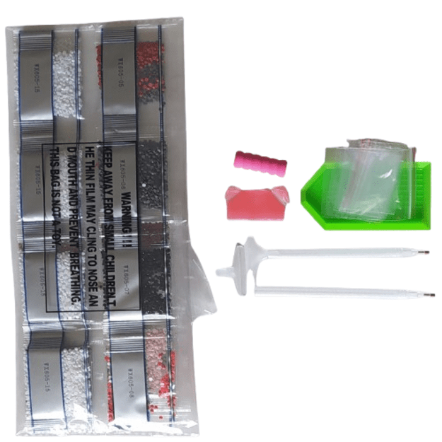 5D diamond painting set 42x65cm (40x60cm)