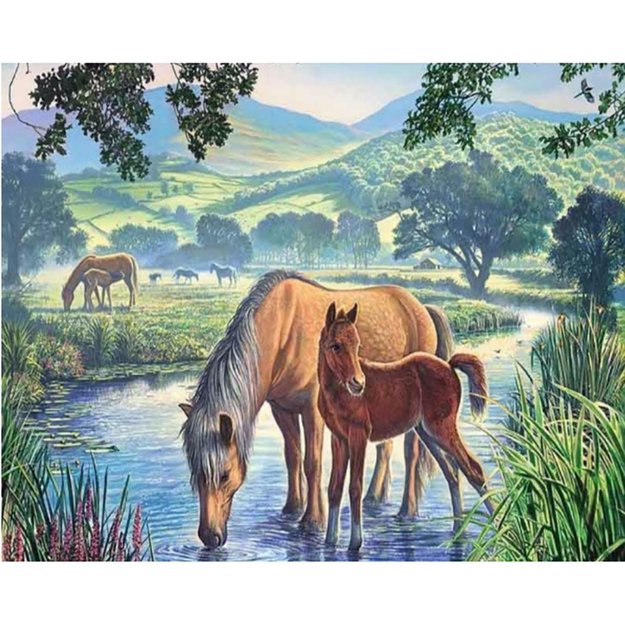 Diamond Painting 5D 30x40cm (35x45cm) Grazing Horses