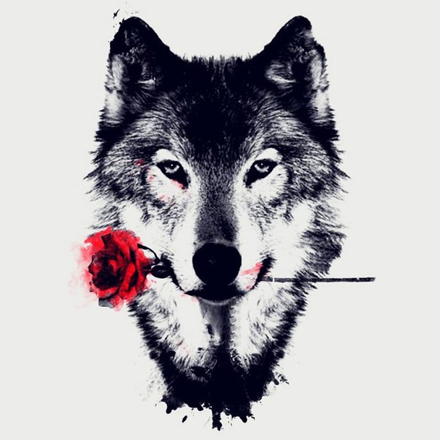 Diamond Painting 5D 30x30cm (35x35cm) Wolf with Rose – Strength and Tenderness Contrast