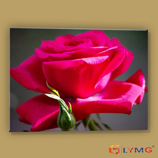 Diamond Painting 5D 40x30cm (35x45cm) Red Rose