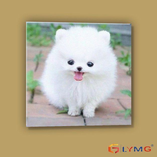 5D diamond painting set 30x40cm (35x45cm) Gucci