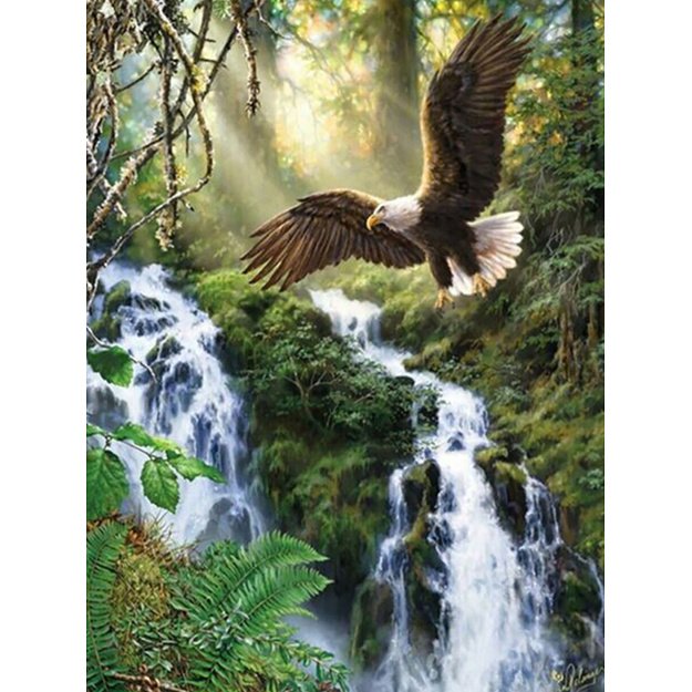 Diamond Painting 5D 30x40cm (35x45cm) Eagle over Forest Spring