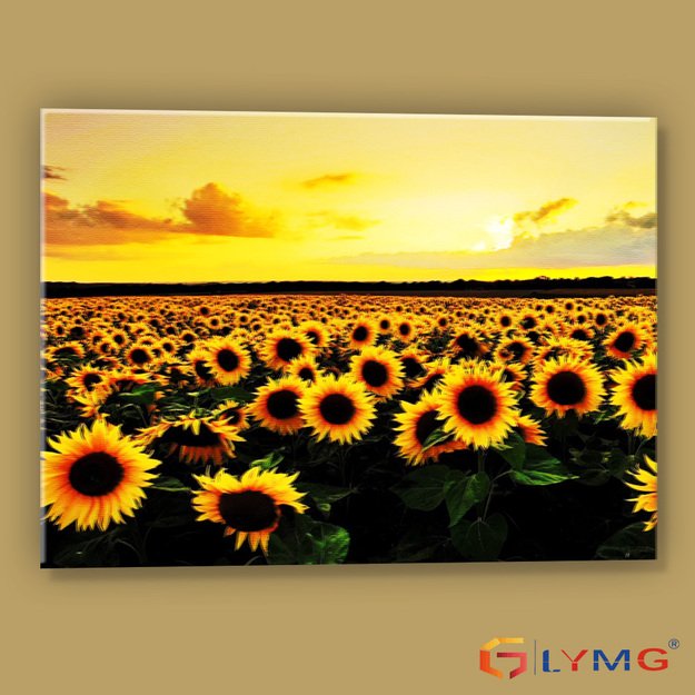 Diamond Painting 5D 40x30cm (45x35cm) Sunflower Field at Sunset