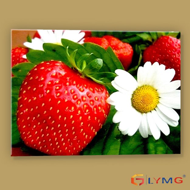 5D diamond painting set 30x40cm (35x45cm) 