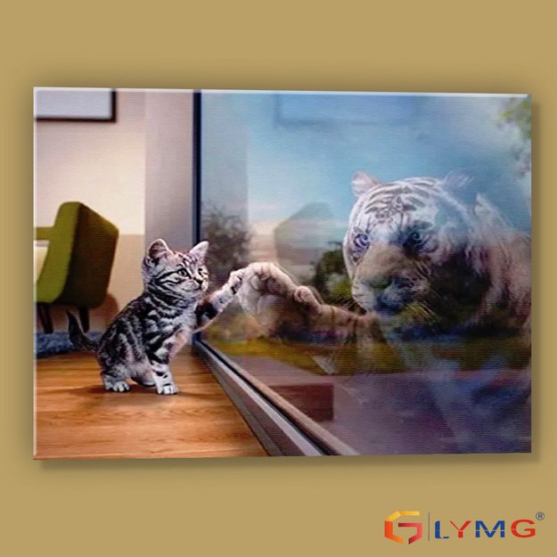 5D diamond painting set 40x30cm (45x35cm) cat in the mirror
